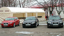      Audi