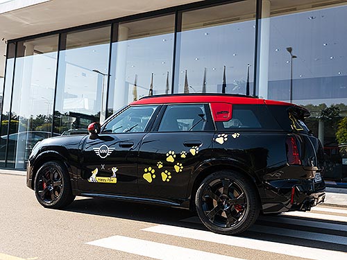 MINI    : MINI   Happy Paw      - MINI