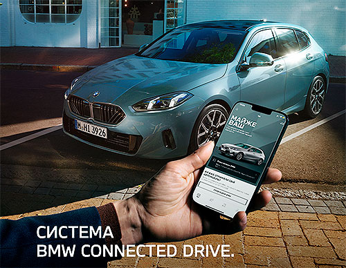   䳺     BMW - BMW