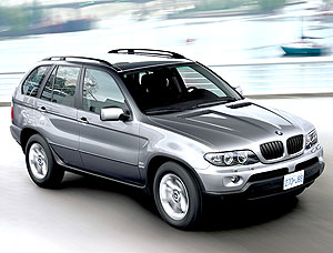  BMW Group   2006    8%