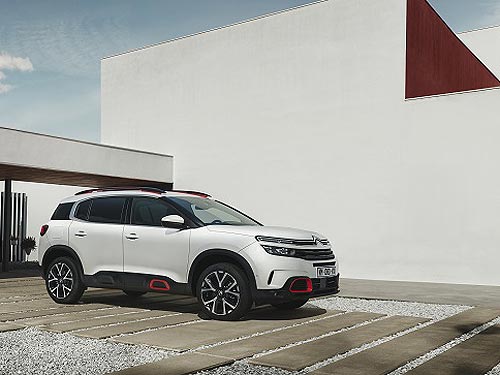 ����� ������������� ������� ���������� � ������� � 2019 ����. ��������� �������