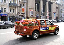   Great Wall Wingle  -