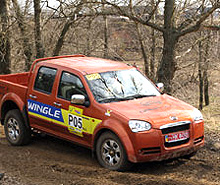      Great Wall Wingle