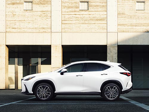 Lexus    Lexus NX - Lexus