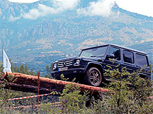 Mercedes-Benz Summer Drive     