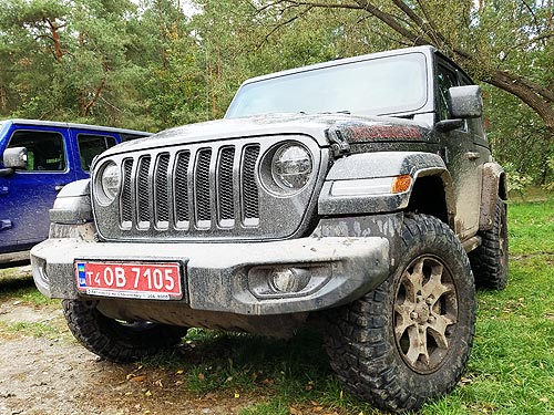    :       Jeep Wrangler - Jeep