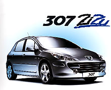       Peugeot 307 ZiZu