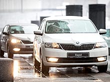      Skoda Rapid.  - Skoda