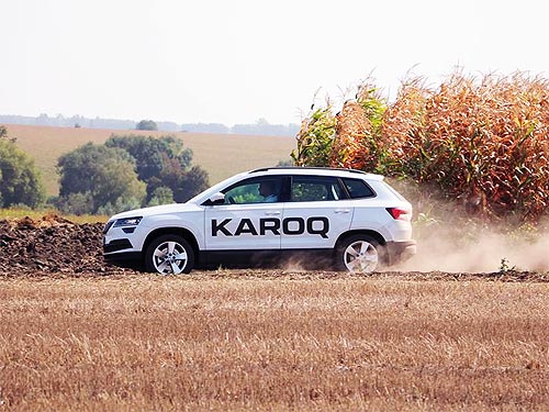 10     Skoda Karoq - Skoda