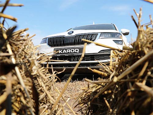 SKODA KAROQ       - SKODA