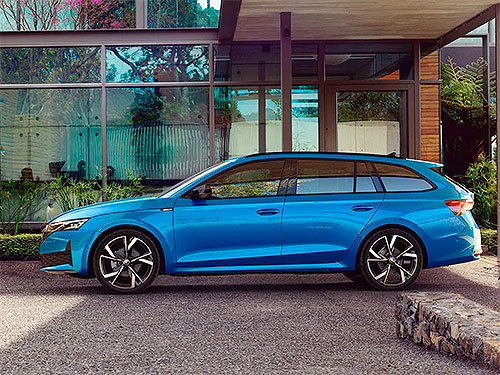  Skoda Octavia 䳺      87 000 . - Skoda