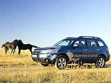  Subaru Forester        7.5 .