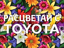 Toyota          TOYOTA - Toyota