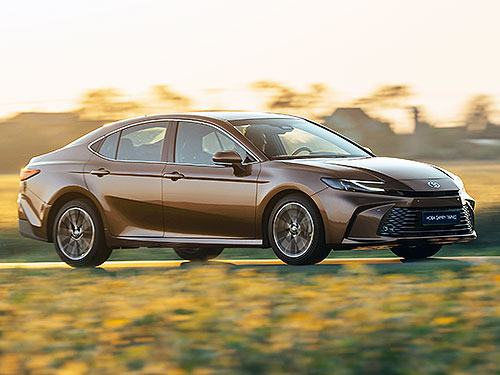 Toyota      Land Cruiser Prado  Camry - Toyota