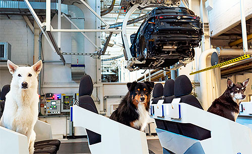       Volkswagen Tayron - Volkswagen