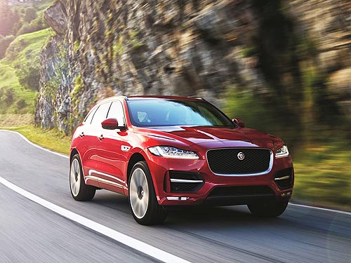   Jaguar       - Jaguar