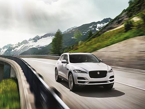   Jaguar       - Jaguar