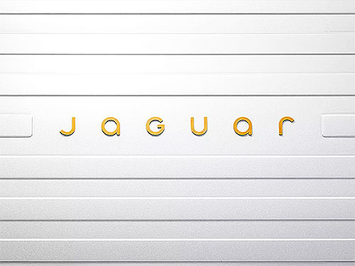 Jaguar    - Jaguar