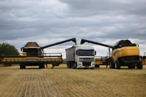 Битва зерновозів: Чи зможе Україна вивезти на експорт власне зерно новими напрямками