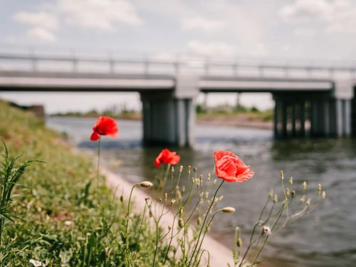 АВТ Баварія профінансувала повну відбудову ще двох мостів на Сході України