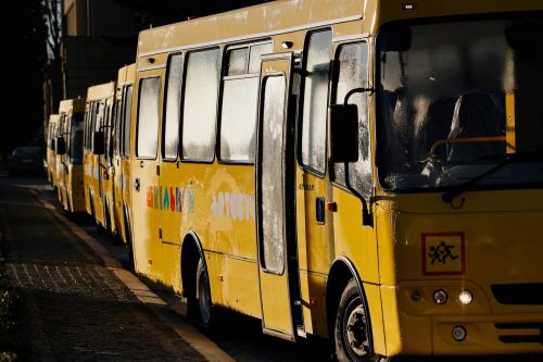 Закарпаття закупило шкільних автобусів на 89,6 млн. грн. - шкіль