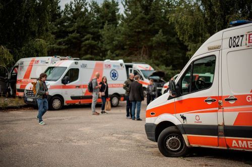 �� ���������� �������� 11 ��������� ������ ������� �������� - �����