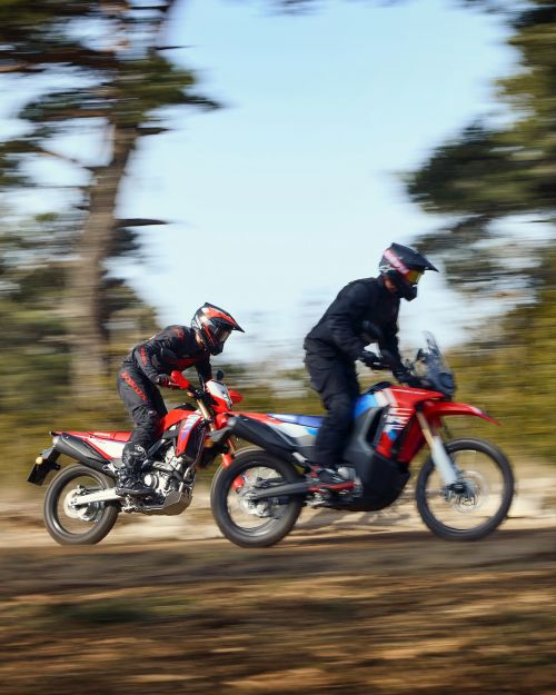 Honda CRF300 Rally ����������� � ������ - Honda