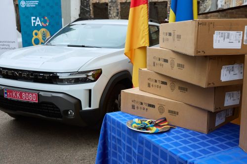 ͳ������� �������� ��� Renault Duster ��� ����������� ������� ������� - Renault