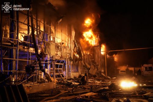 � ���� �������� ���������� ���������