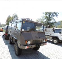        Pinzgauer - Pinzgauer