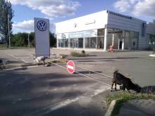   .     Volkswagen