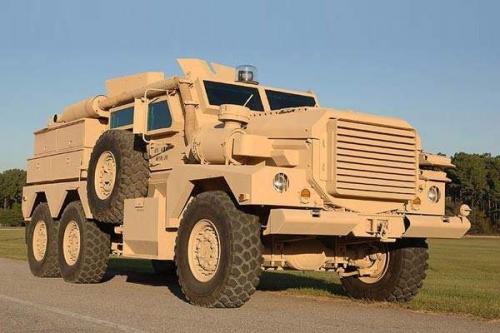       Mastiff