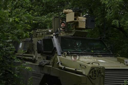 Австралія надасть Україні ще 30 бронеавтомобілів - Bushmaster