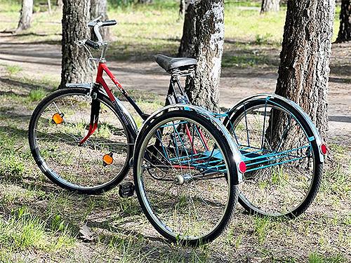 �������� ���� ������� ����� ����������� ����������