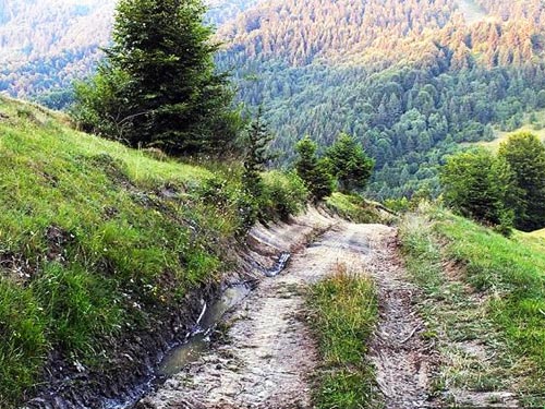   Nokian Nordman S SUV:  