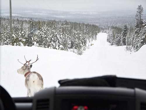         ?   Nokian Hakkapeliitta 9 - Nokian