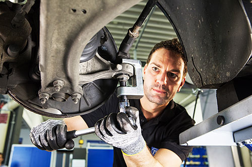 ������ ���������� ��������� ��������� �������� ����. ������������ ��������� - �������