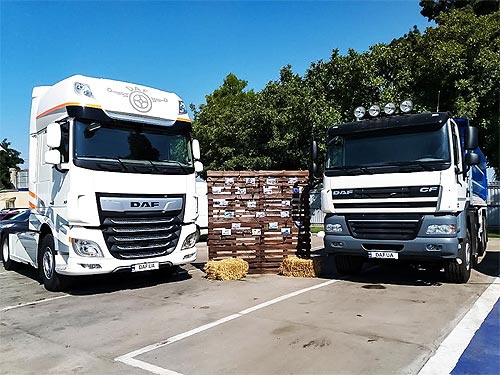 DAF проведет еще одну встречу с клиентами и партнерами