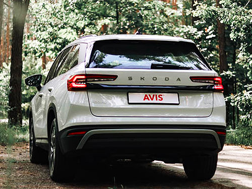   Avis       - Avis