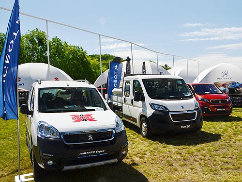  -2018 Peugeot      