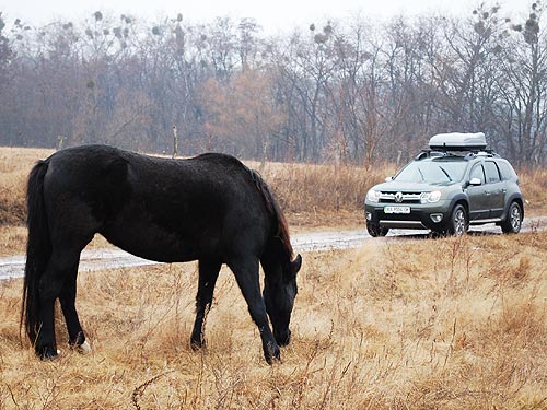    Renault Duster New:      