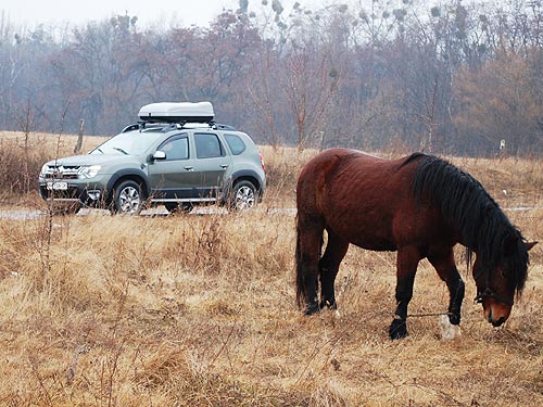    Renault Duster New:      