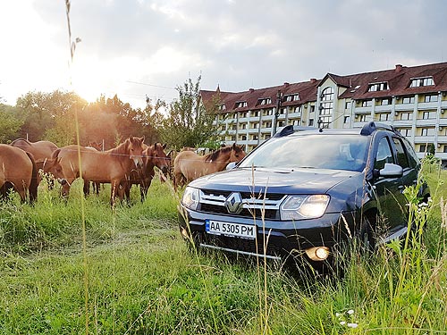 - Renault Duster:    - Renault