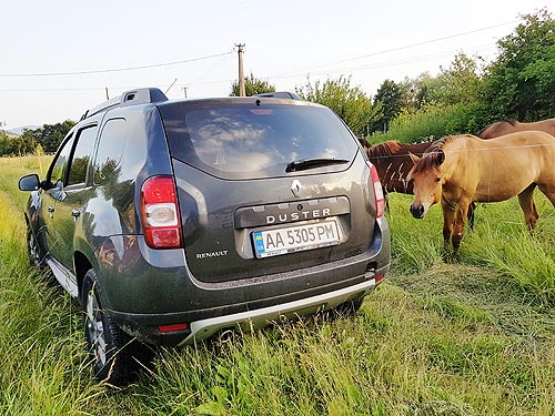 - Renault Duster:    - Renault