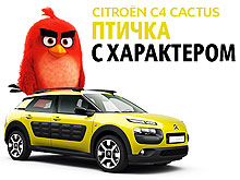 Citroen  Angry Birds    .  - Citroen
