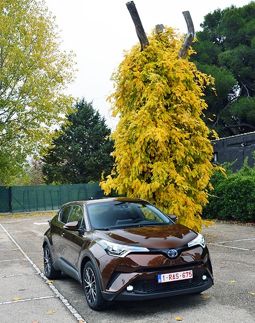 Toyota C-HR:     - - Toyota