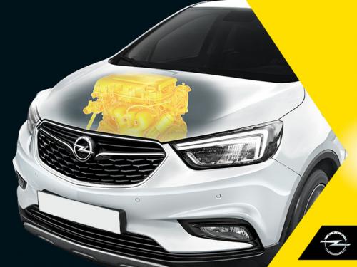 Opel  :       -20%     5+