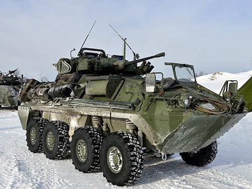     Bison  Coyote   LAV
