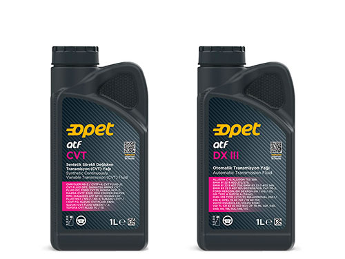 � ���� �������� ���� ��� ���� - ����