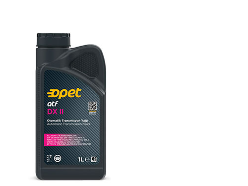 � ���� �������� ���� ��� ���� - ����